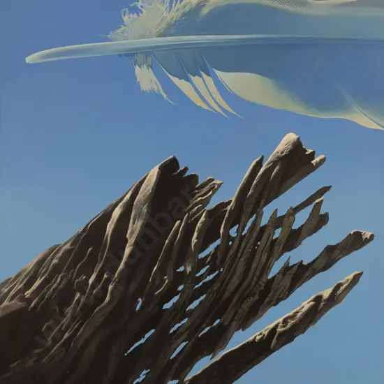 Max Tilley - Feather and Driftwood