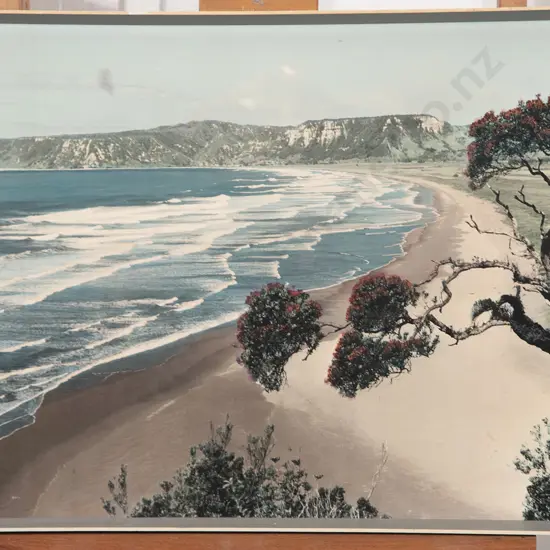 Whites Aviation - Te Araroa