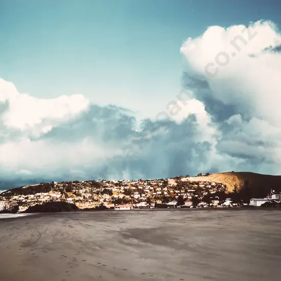 Kees Bruin - Rapture Christchurch