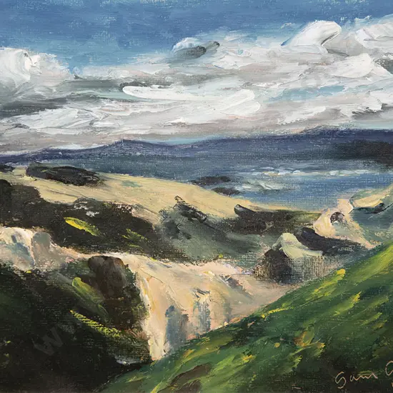 Sam Cairncross - Wellington Landscape