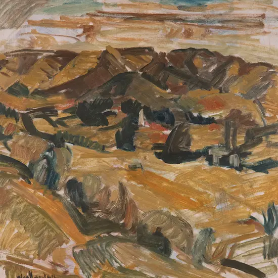 Toss Woollaston - Upper Moutere