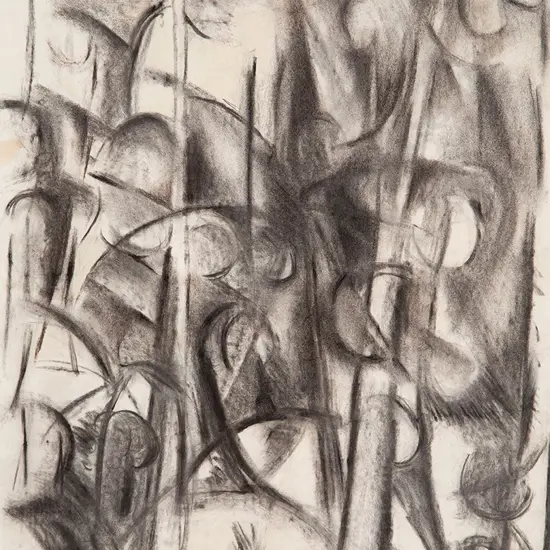 Colin McCahon -  Kauri