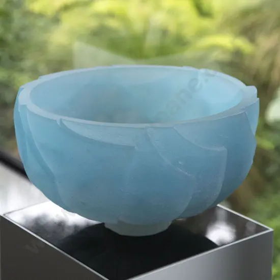 Ann Robinson Ice Bowl