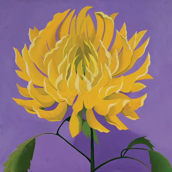 Louise Lewis - Yellow Dahila