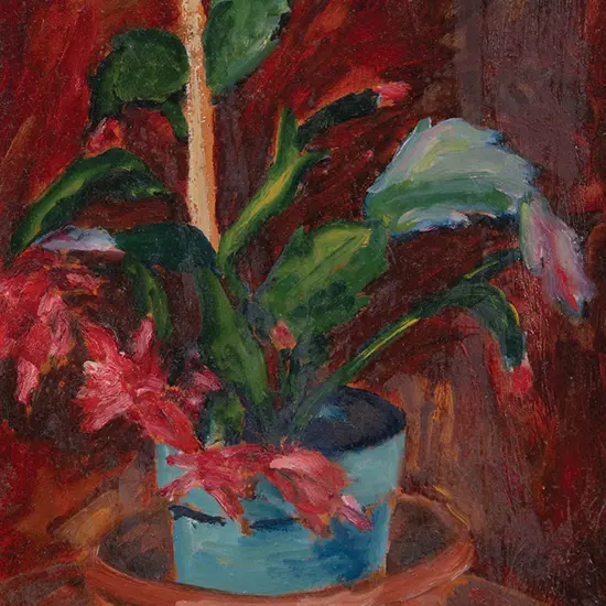 Sam Cairncross - Pot Plant