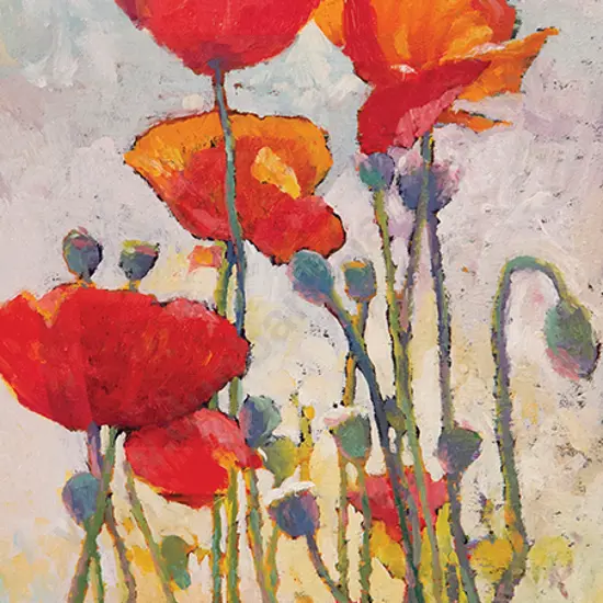 Ian Hamlin - Poppies