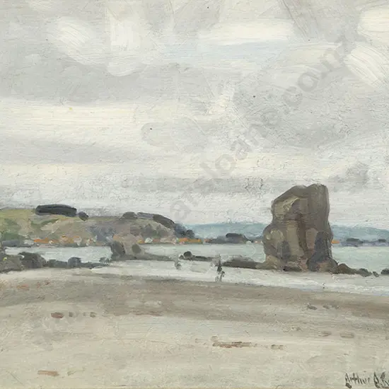 Arthur E Bunder - Shag Rock Christchurch