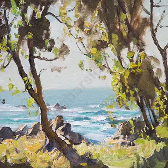 John S Loxton - Sunlit Coast Kaikoura