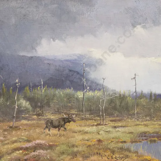 George Edward Lodge - Elk, Grondal