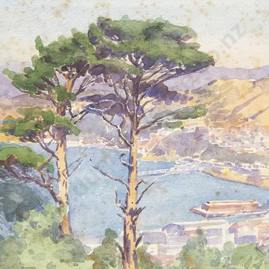 Ella Spicer - Wellington Harbour