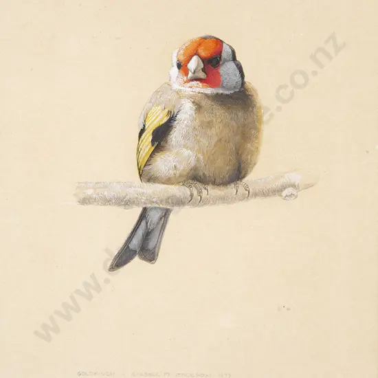 Russell Jackson - Goldfinch