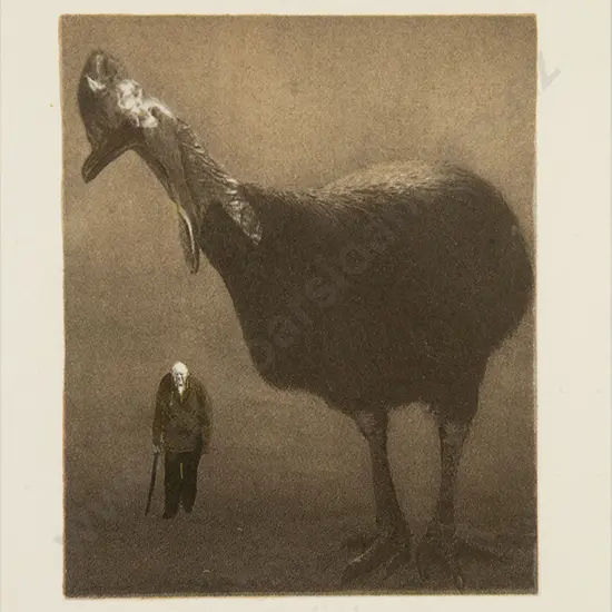 Elizabeth Thomson - Cassawary