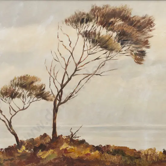 Ismay Couling - Coastal Manuka