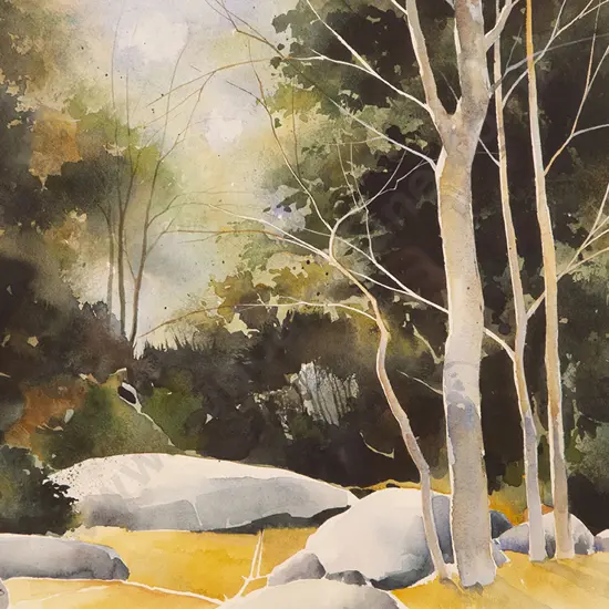 Philip Markham - Forest Clearing