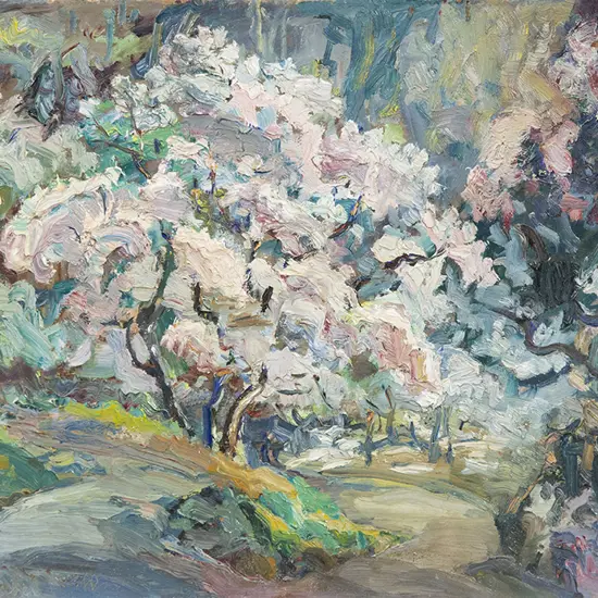 Mabel Still - Magnolias in Botanic Gardens