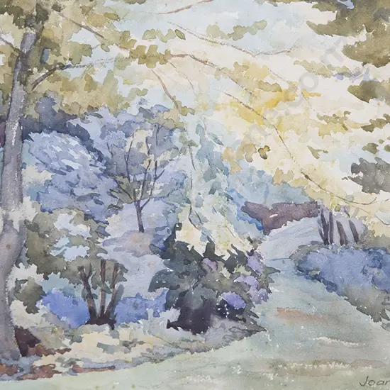 Joan Fanning - Central Park