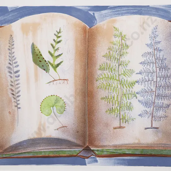 Rodney Fumpston - Fern Book
