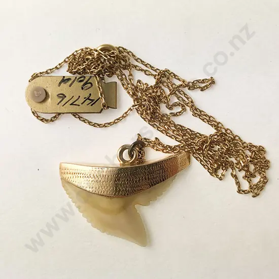 18ct Mounted Shark Tooth Pendant