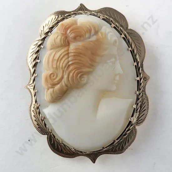 9ct Framed Cameo Brooch