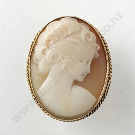 9ct Framed Cameo Brooch