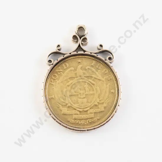 Pendant Mounted 1893 1 Pond