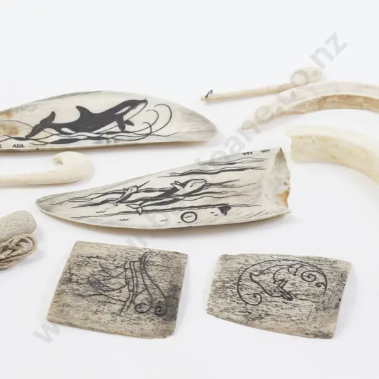 Collection Modern Scrimshaw