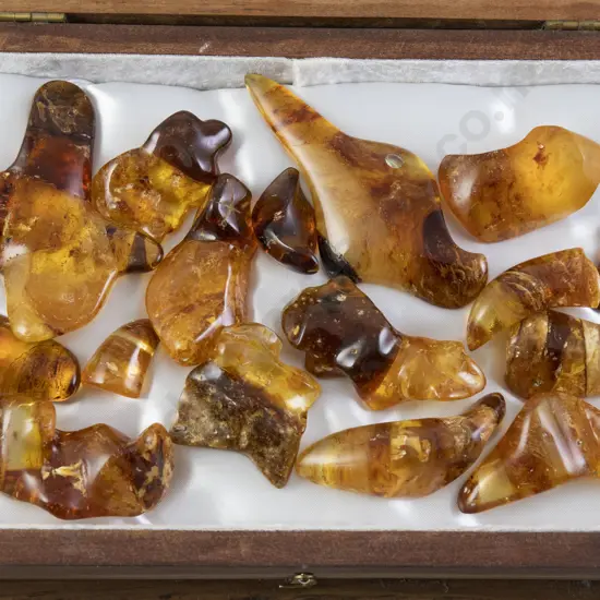 Quantity NZ Polished Kauri Gum