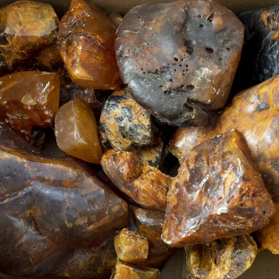 Quantity NZ Kauri Gum