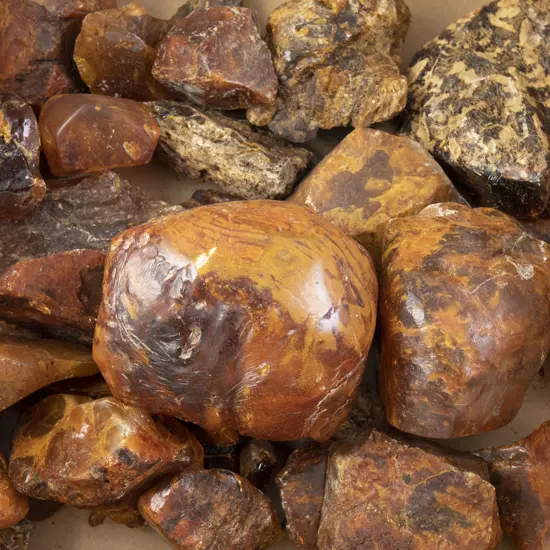 Quantity NZ Kauri Gum