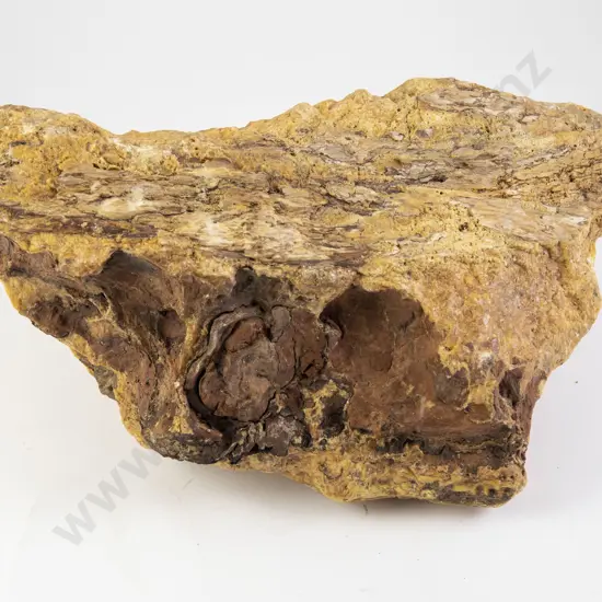 Very Large Natural Amber Nugget