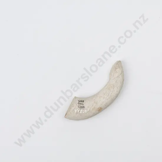A Pre C19th Maori Matau (Fish Hook) Point - Y15226