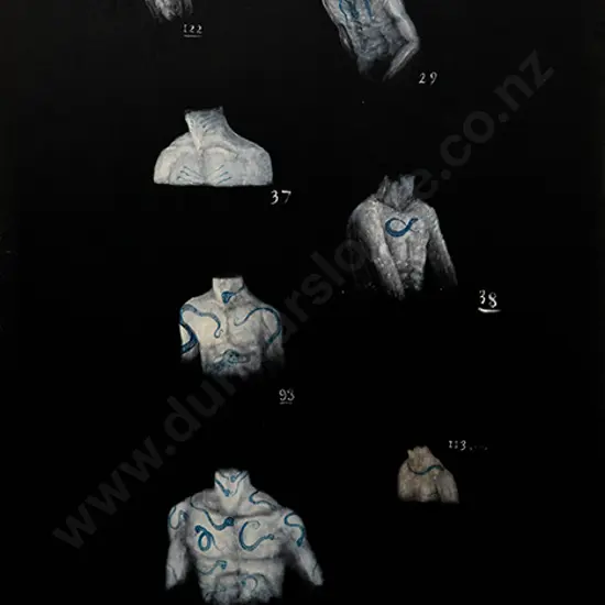 Tony de Lautour - Body Corp 2