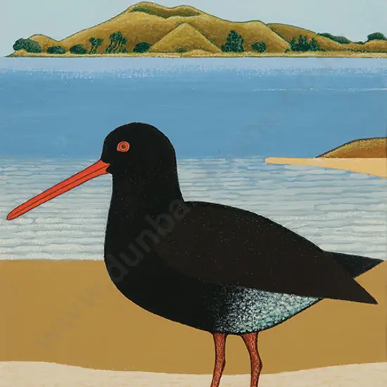 Don Binney - Motukorea, Torea - Pango I