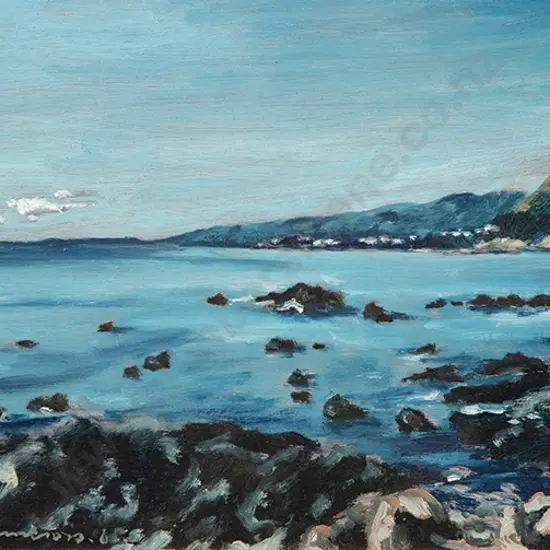 Sam Cairncross - South Coast, Wellington