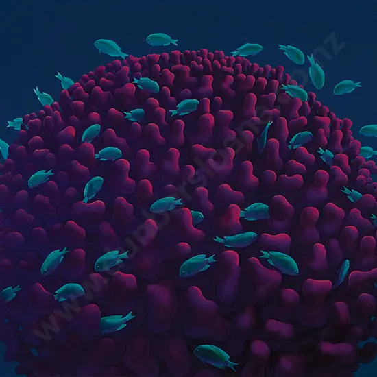 Michael Smither - Coral Head with Fish