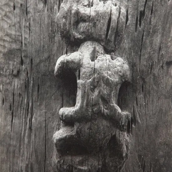 Peter Peryer - Tatau