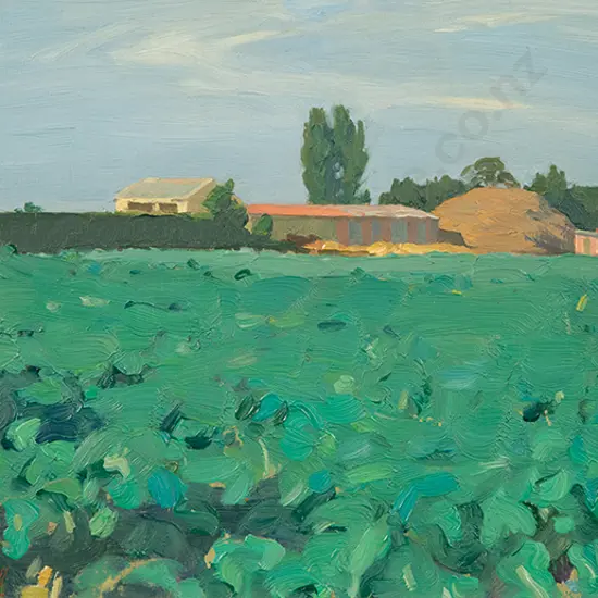 Archibald Nicoll - Green Fields