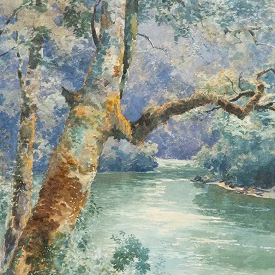 C H Howorth - Whanganui River