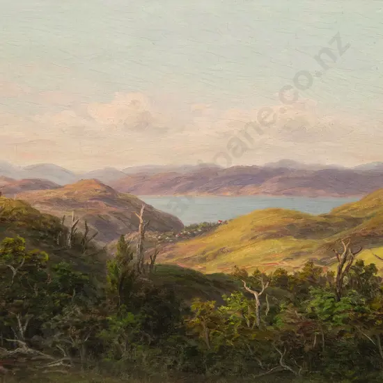 W G Baker - Near Wellington