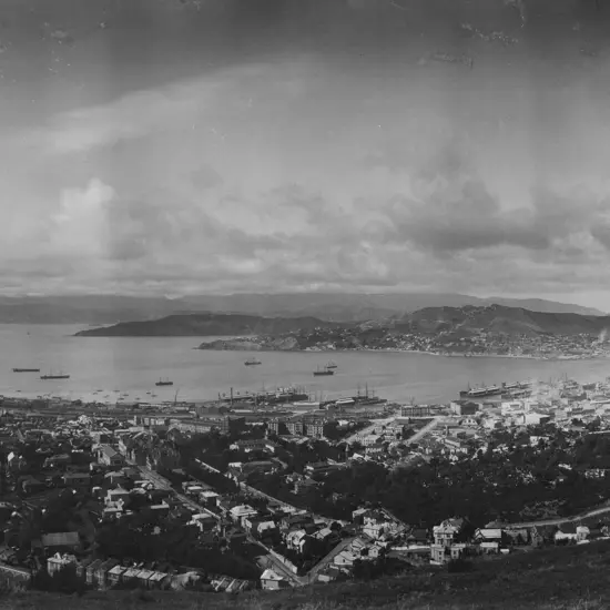 Melvin Vaniman - Wellington