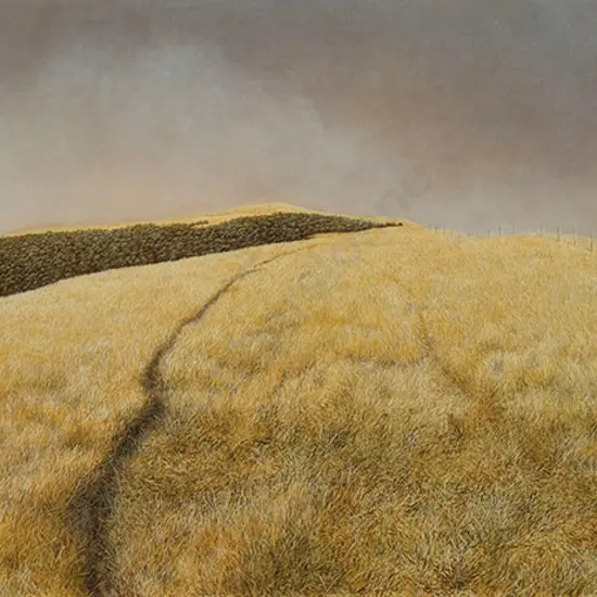 Mark Cross - Dray Landscape, Te Paki