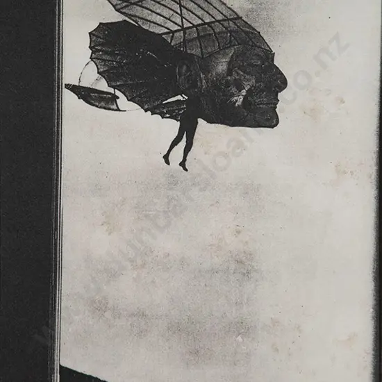 Jason Greig - Dragonfly