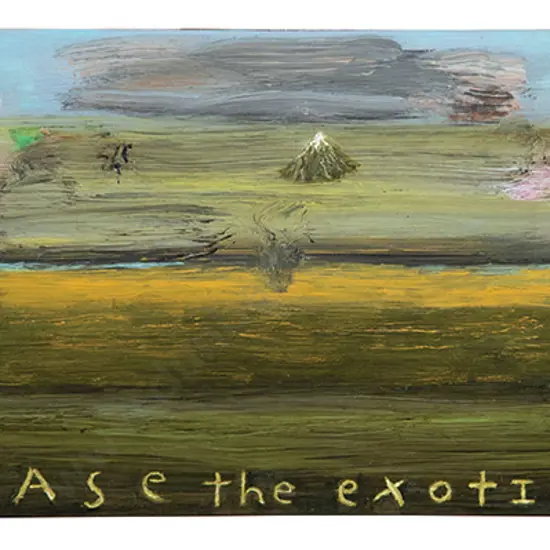 Peter Cleverley - Chase the exotic