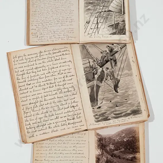 James Elder Moultray Personal Diaries