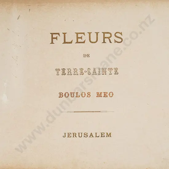 Flowers Of The Holy Land