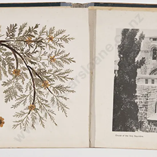 Flowers Of The Holy Land Album