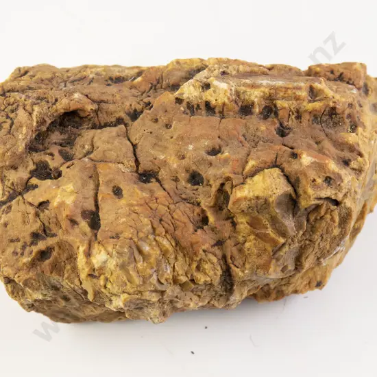 Very Large Natural Amber Nugget