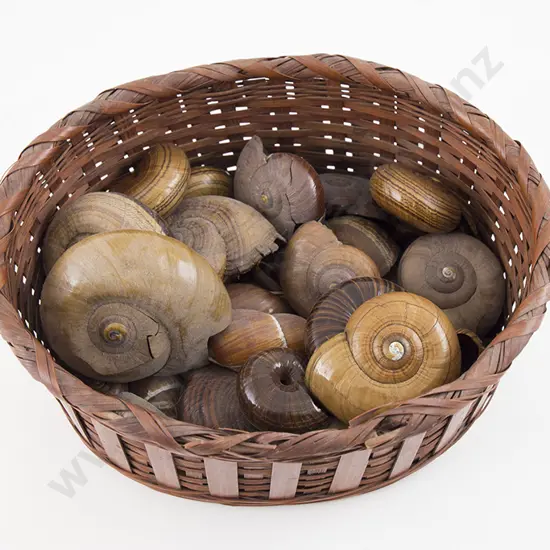 Vintage Collection NZ Native Land Snails and others