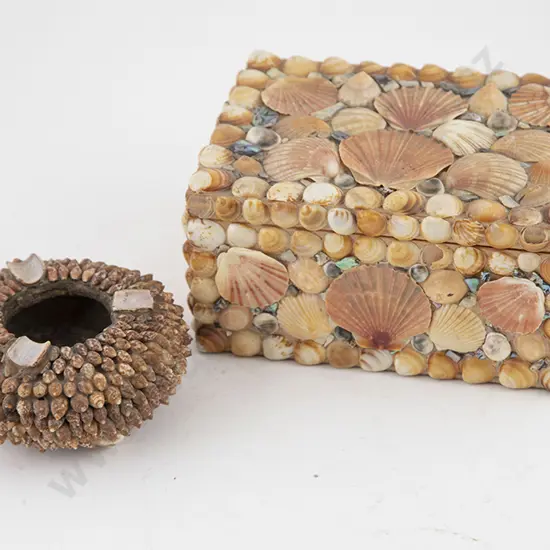 Collection Sea Shell Folk Art Ware