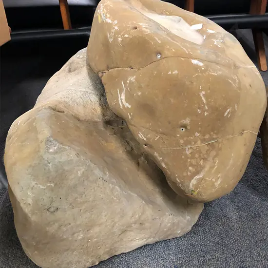 Two Fossil Boulders